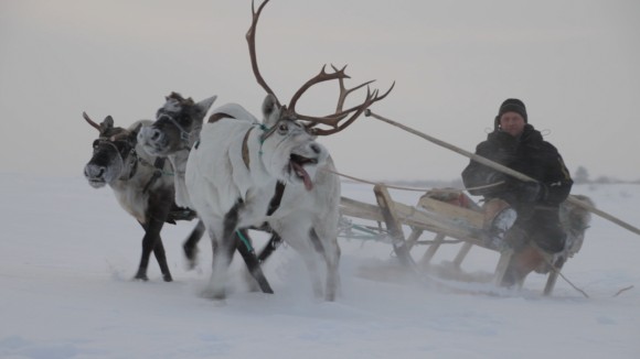 Die Hüter der Tundra Szenenbild