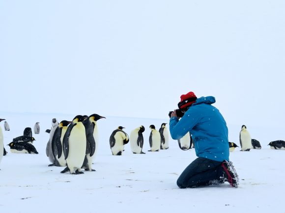 Antarktis Szenenbild
